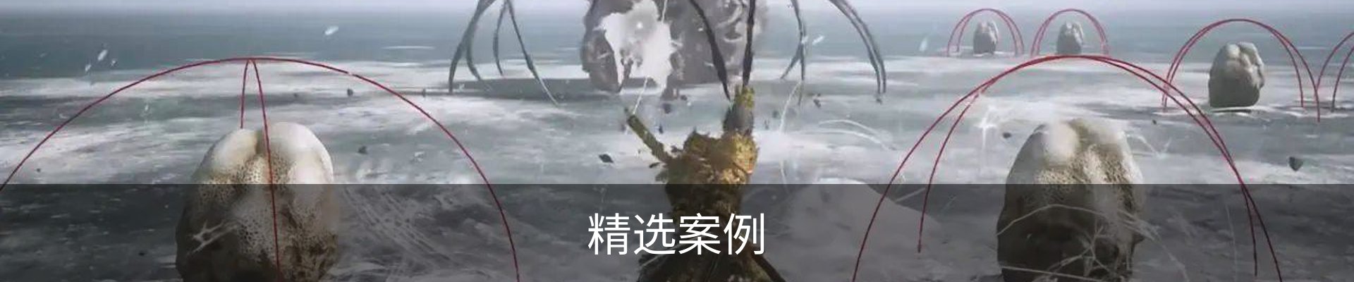 精选案例